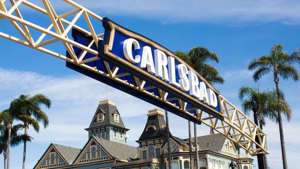 Carlsbad garage door service