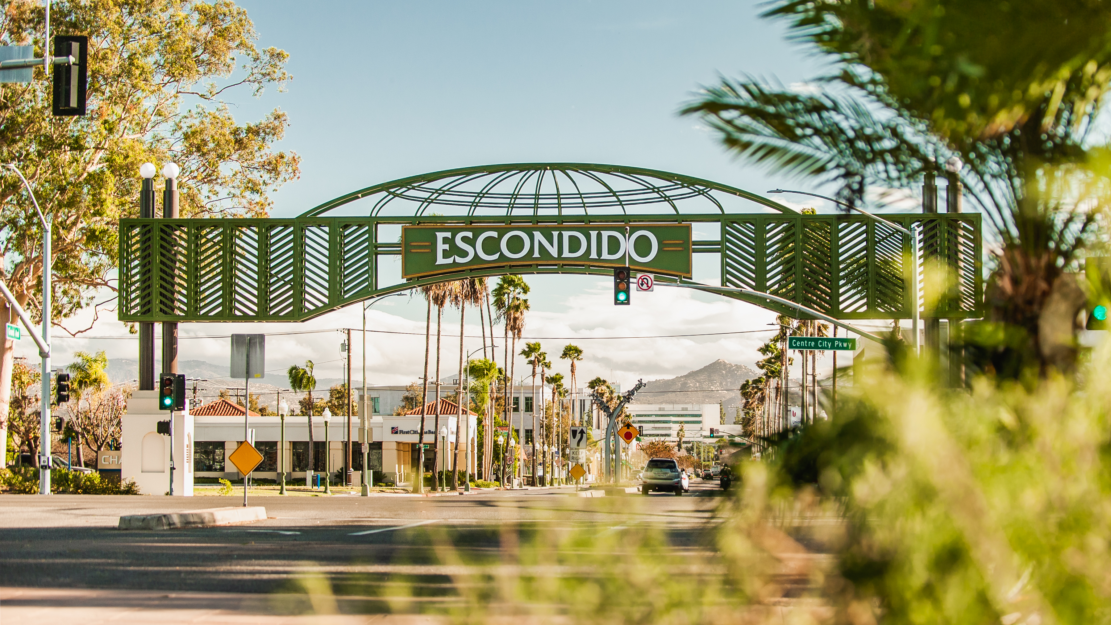 Escondido garage door service